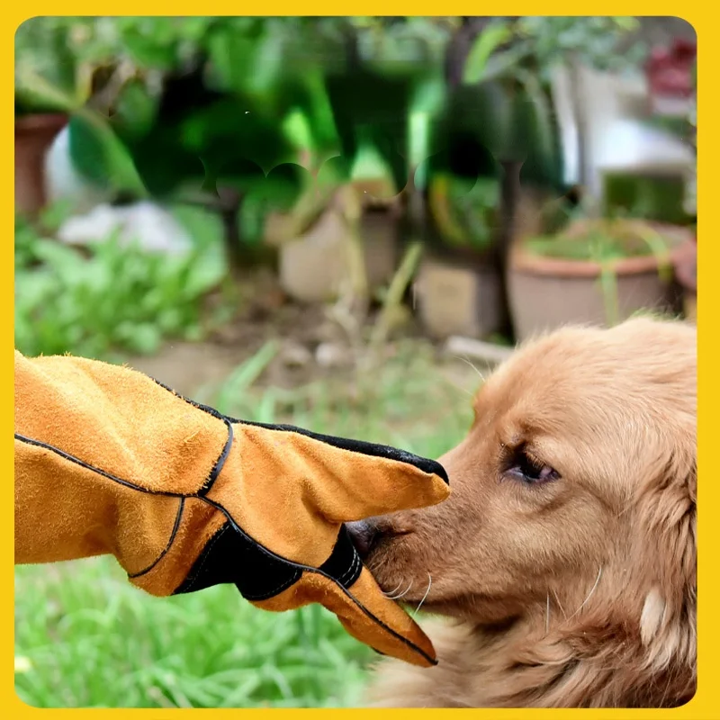 반려동물 장갑 소가죽 안티 그래스팅 안티 그래스팅 안티 - Leatherwork Training 리뷰 및 가격