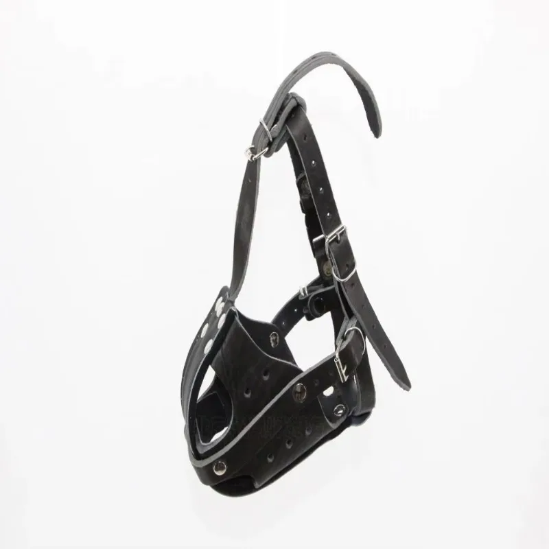 전술용 가죽 개목걸이 (훈련용/애완견용) - Leatherwork Training 리뷰 및 가격