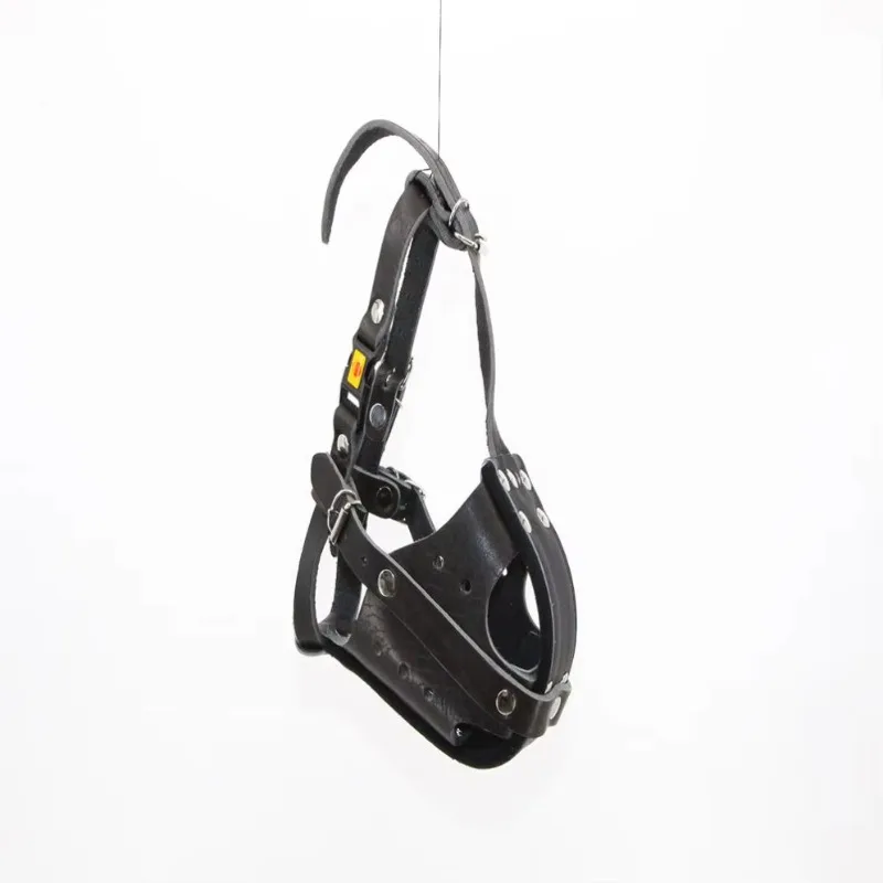 전술용 가죽 개목걸이 (훈련용/애완견용) - Leatherwork Training 리뷰 및 가격