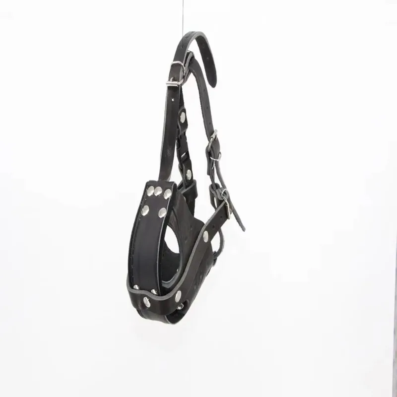 전술용 가죽 개목걸이 (훈련용/애완견용) - Leatherwork Training 리뷰 및 가격